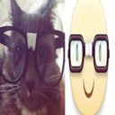 cat_nerd Discord emoji