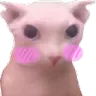 uwu
