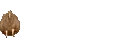 caballo