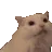 Yumii_zcatscreaming