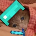 sleepycat