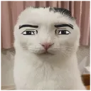 manfacecat