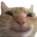 smilingcat