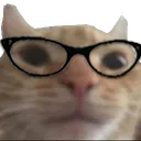 SwagGlasses