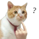 AP_gcatmepointquestion Discord emoji