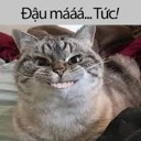 :emoji_18: