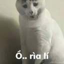 :emoji_19: