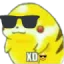 xdcool