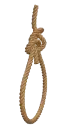 noose
