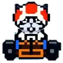 mariokart