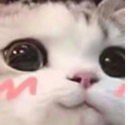 7482uwucat1 Discord Emoji | 🐦🦚Quanteck P.🦩🦜: 🥴🎮🤪We Smell Good In Here🥴🎮🤪