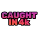 caughtin4k_IDS