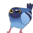 DancingPidgeon