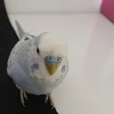 emoji_5