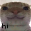 hi
