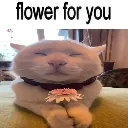 emoji_35