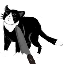 KnifeCat