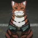 feline3