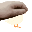 :duckpats: