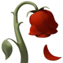 apple_wilted_rose