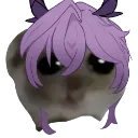 DurinSadHamster