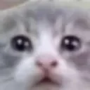 petrol
