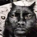 mog