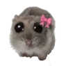 hamster_bow
