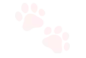013Pink_Paws