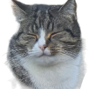 Pino Discord emoji