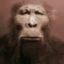 monkey Discord emoji