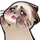 meowhug