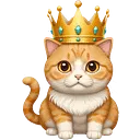 orange_scottish_folded_with_crow