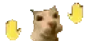 woobi