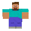 8215stevewalk