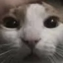 emoji_32