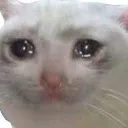 emoji_35