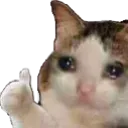 emoji_14