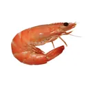 E2CA8D1AAAB74019A69F918DAC22D2BE