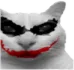 joper_cat