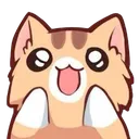 catwow