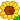 r_sunflower_002