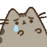 Pusheen_beg