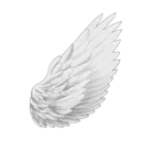 wings