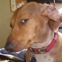 sideeye1