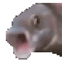 pogfishanimated