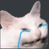 crying_cat