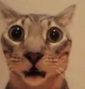 shocked