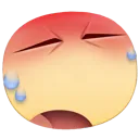c1_fbhot