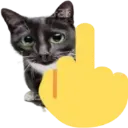 catbadcat